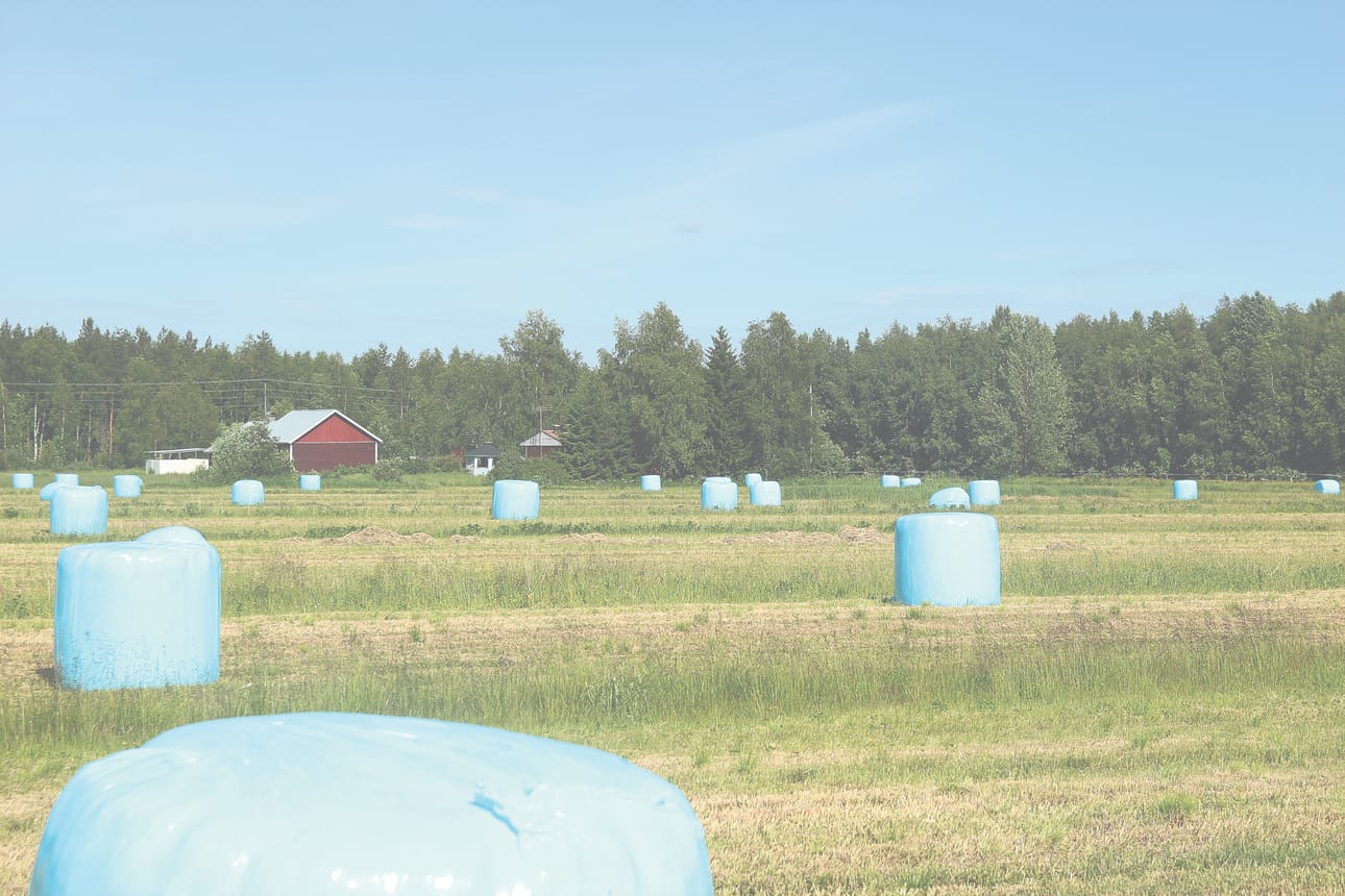 Sinisten paalien avulla kerätään varoja eturauhaussyöpäpotilaille.