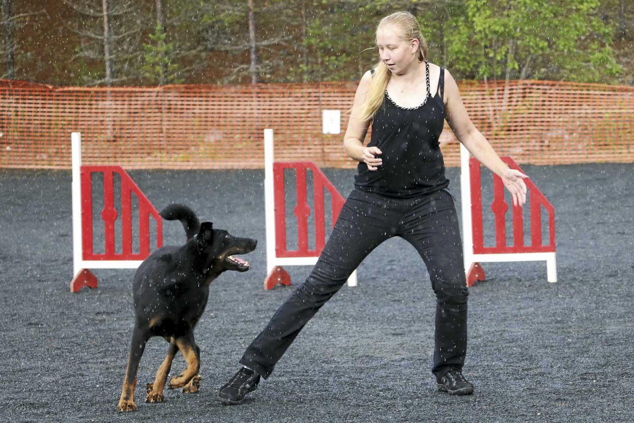 Koirat tanssivat niin kansanmusiikin kuin hevimetallinkin tahtiin. Anna Mäkinen ja Mindy-koira esittivät koskettavan tanssinumeron sateessa.