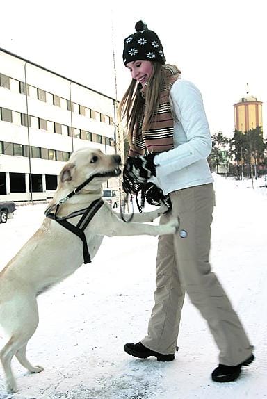 Sofia Pyhtinen ulkoiluttaa iloisesti hulmuavaa labradorinnoutaja Veeraa arkisin koulupäivän jälkeen.