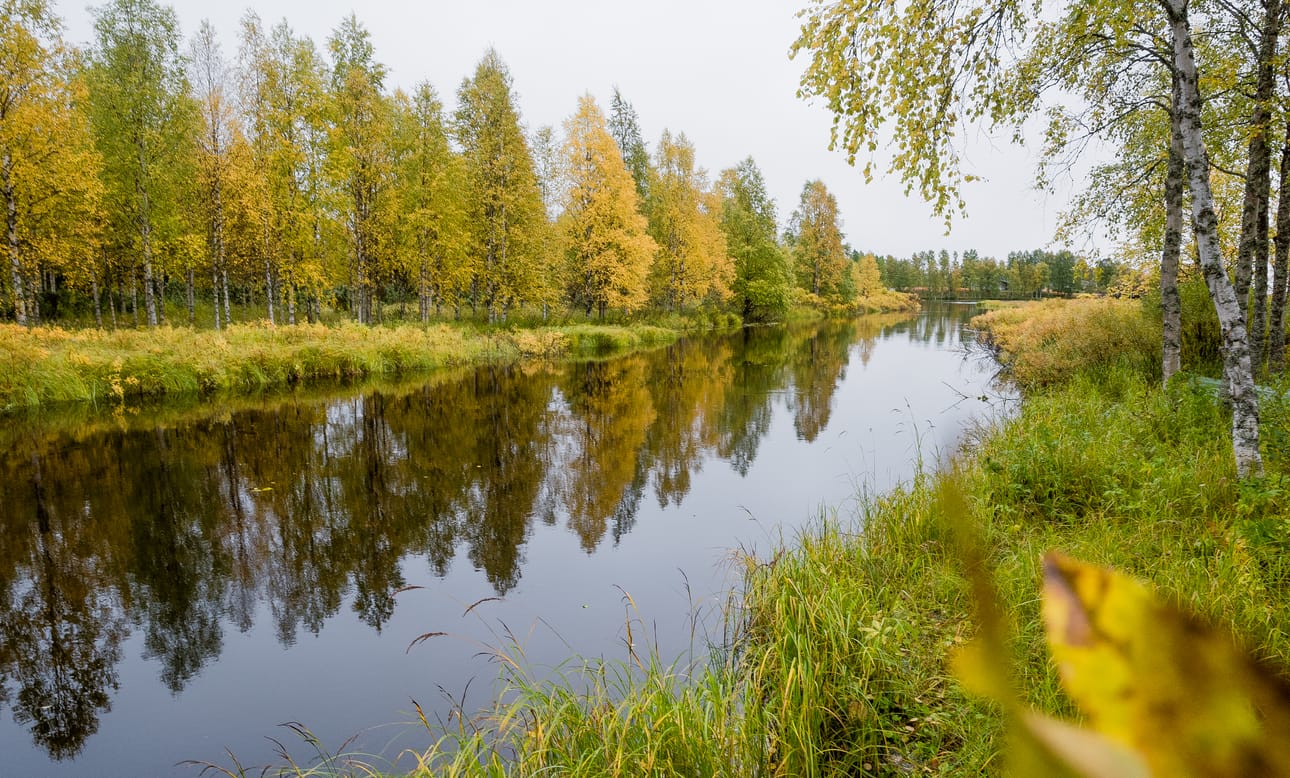 Ruska alkoi nyt, mutta ei ole kuitenkaan tänä vuonna Kuusamossa vielä parhaimmillaan 13. päivänä syyskuuta.