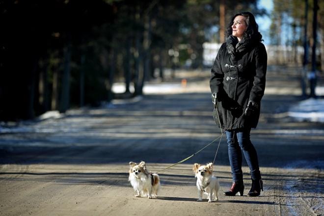 Sari-Anne Koivisto ihmettelee punkkien tuloa kotikonnuilleen. 7-vuotias Tupsu- ja 2-vuotias Luna-koira saivat punkin pureman puolen vuoden sisällä lenkkireissullaan. KUVAT: KARI LÖFHJELM