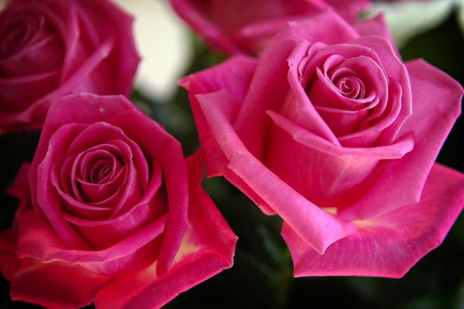 Paljon onnea Sedusta kesäkuussa valmistuneet