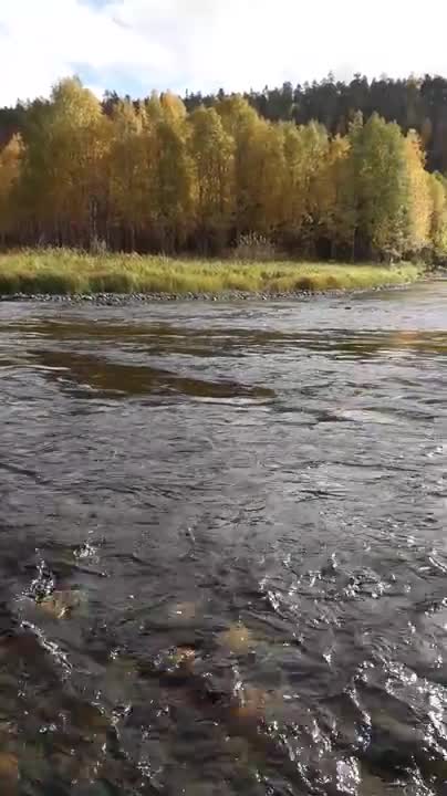 Syystunnelmaa jokivarressa