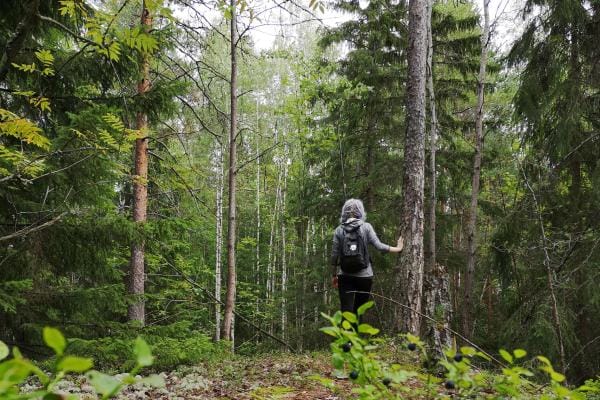 Milja Harju on aina hakeutunut metsään rentoutumaan, nyt hän vie sinne myös asiakkaita metsäkylvyille. Kuvat: Milja Harju