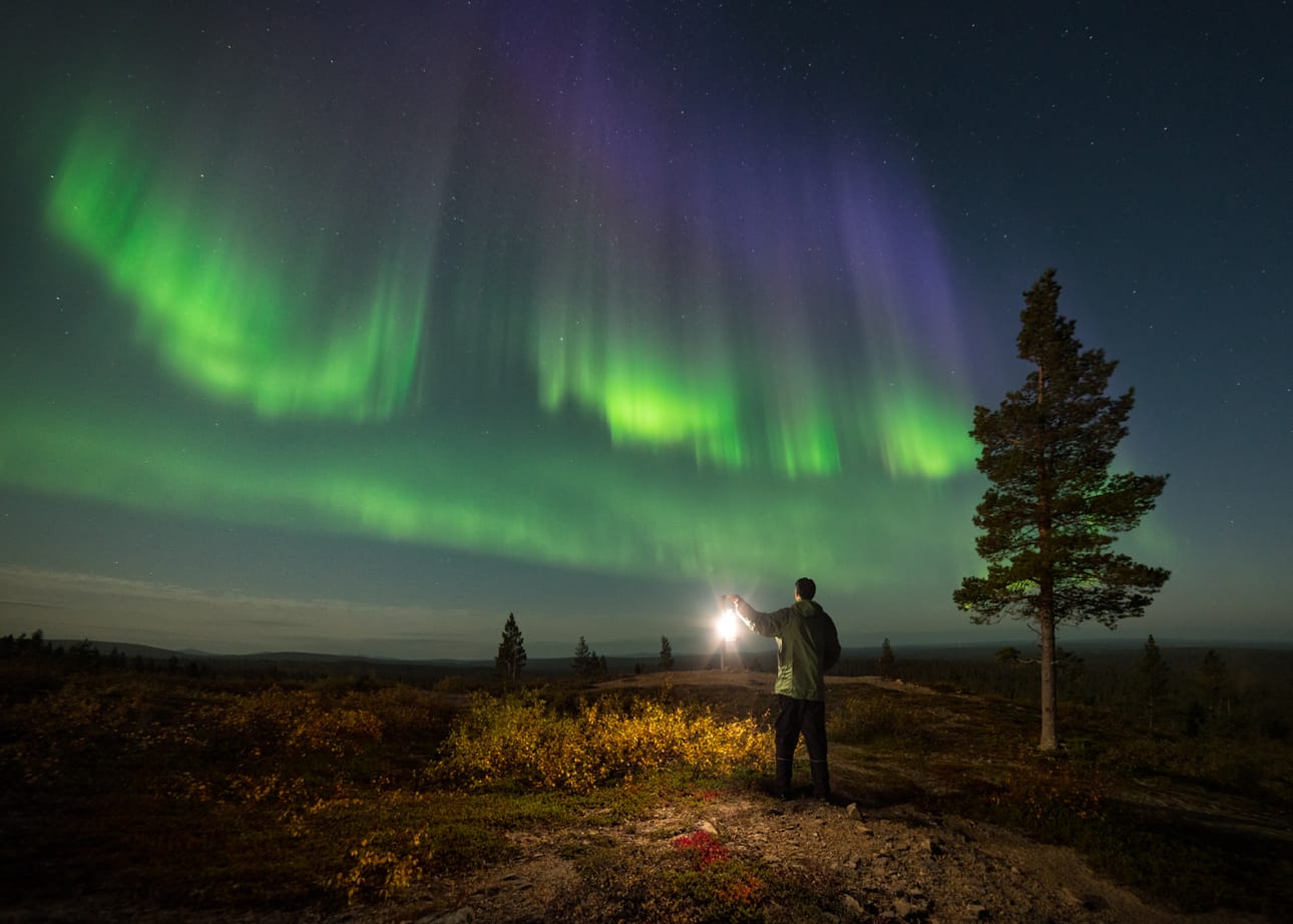 Raadin mielestä Risto Leskisen voittajakuva on hyvin rakennettu ja toteutettu.