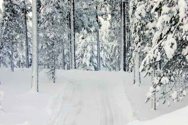 Kuvituskuva: Hannu Levelä