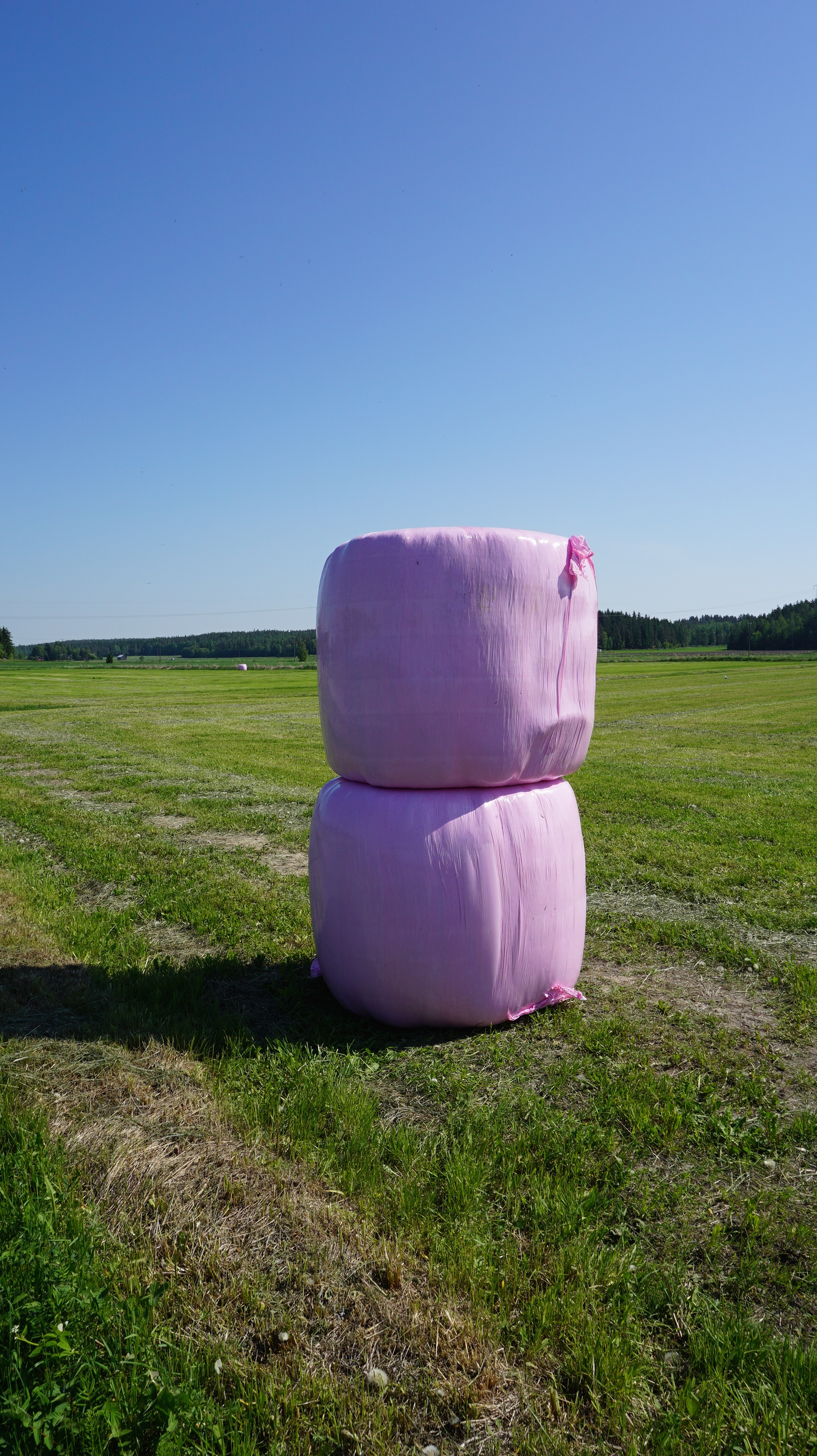 Pinkkejä rehupaaleja nähdään tänä kesänä suomalaisilla pelloilla.