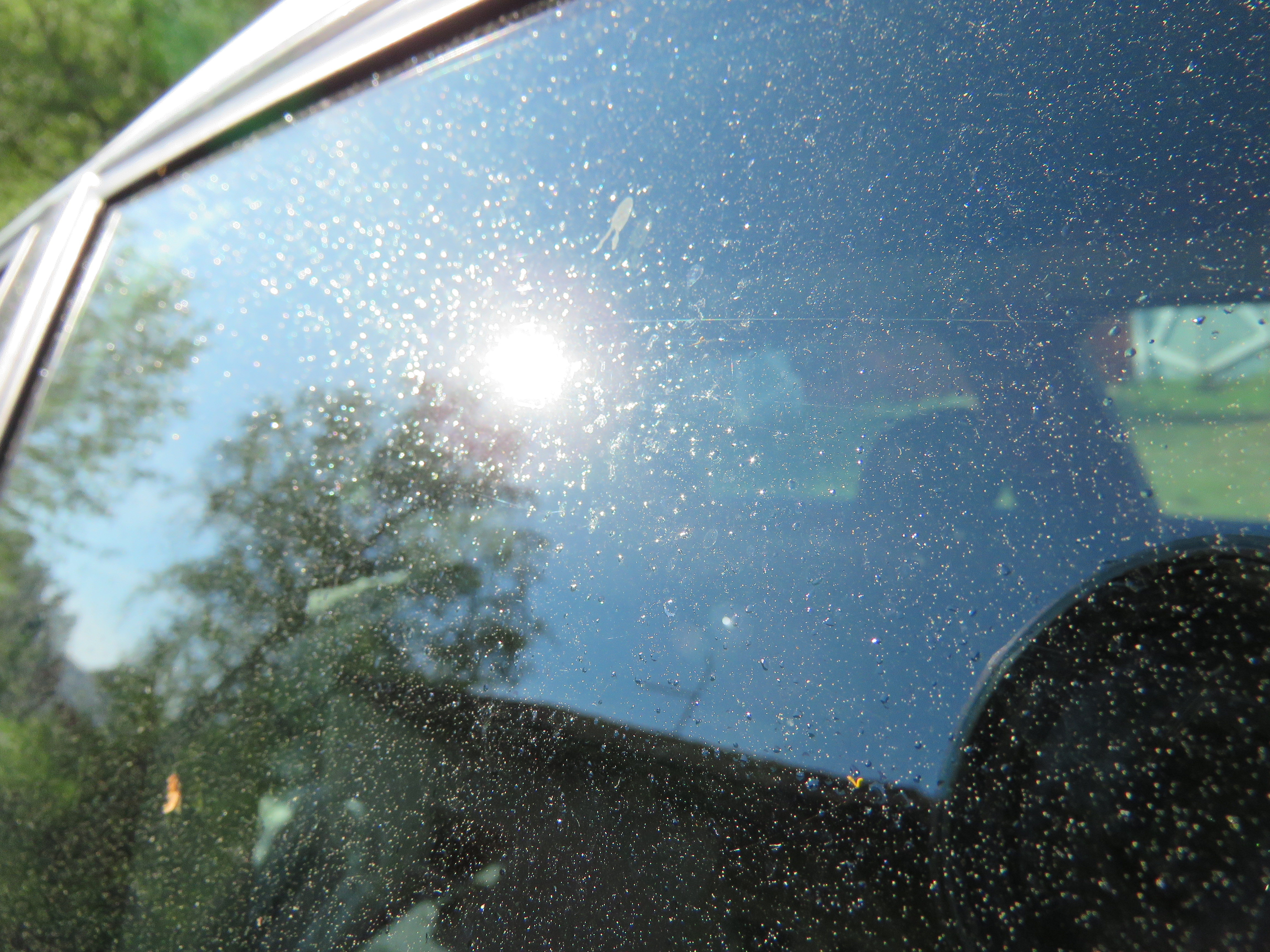 Kirvapilvi on kuin sokerisadetta, kertoo lukija. Koko Pohjanmaa on kirvapilven alla.