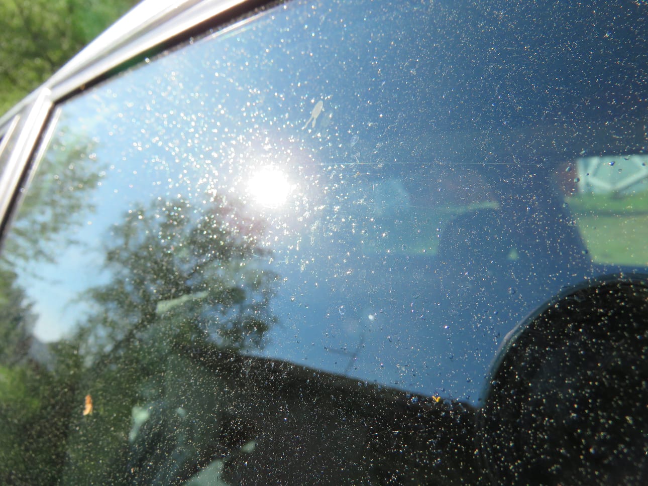 Kirvapilvi on kuin sokerisadetta, kertoo lukija. Koko Pohjanmaa on kirvapilven alla.