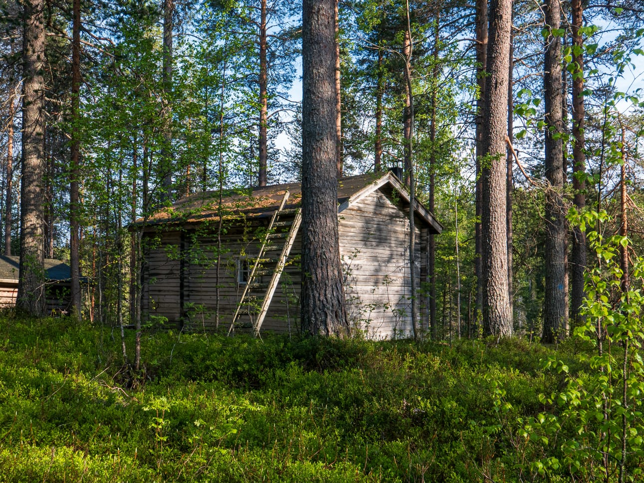 Teerilammin autiotuvalla on petipaikka kuudelle henkilölle. Kesällä 2026 tupa on suljettu, kunnes remontti valmistuu.