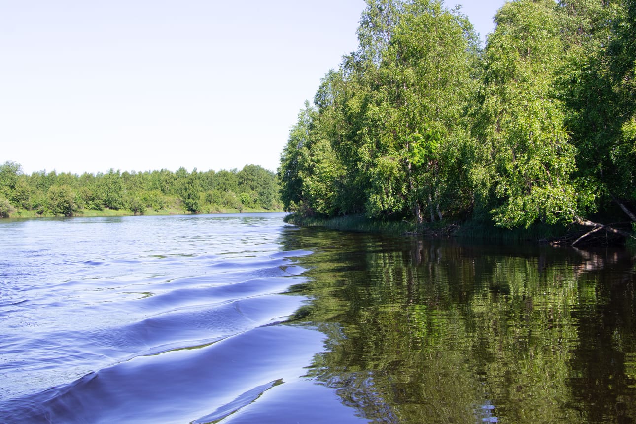 Kirjoittajan mukaan Taivalkoskelle suunniteltu mittava kaivoshanke Iijokea. Hankkeen vaikutukset ulottuvat Kuusamosta Perämereen asti.