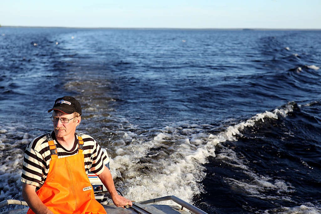 Paavo Sumiloff (vas.) vetää paunettia kireälle ja Urho Sumiloff lappaa muikkusaalista veneeseen.