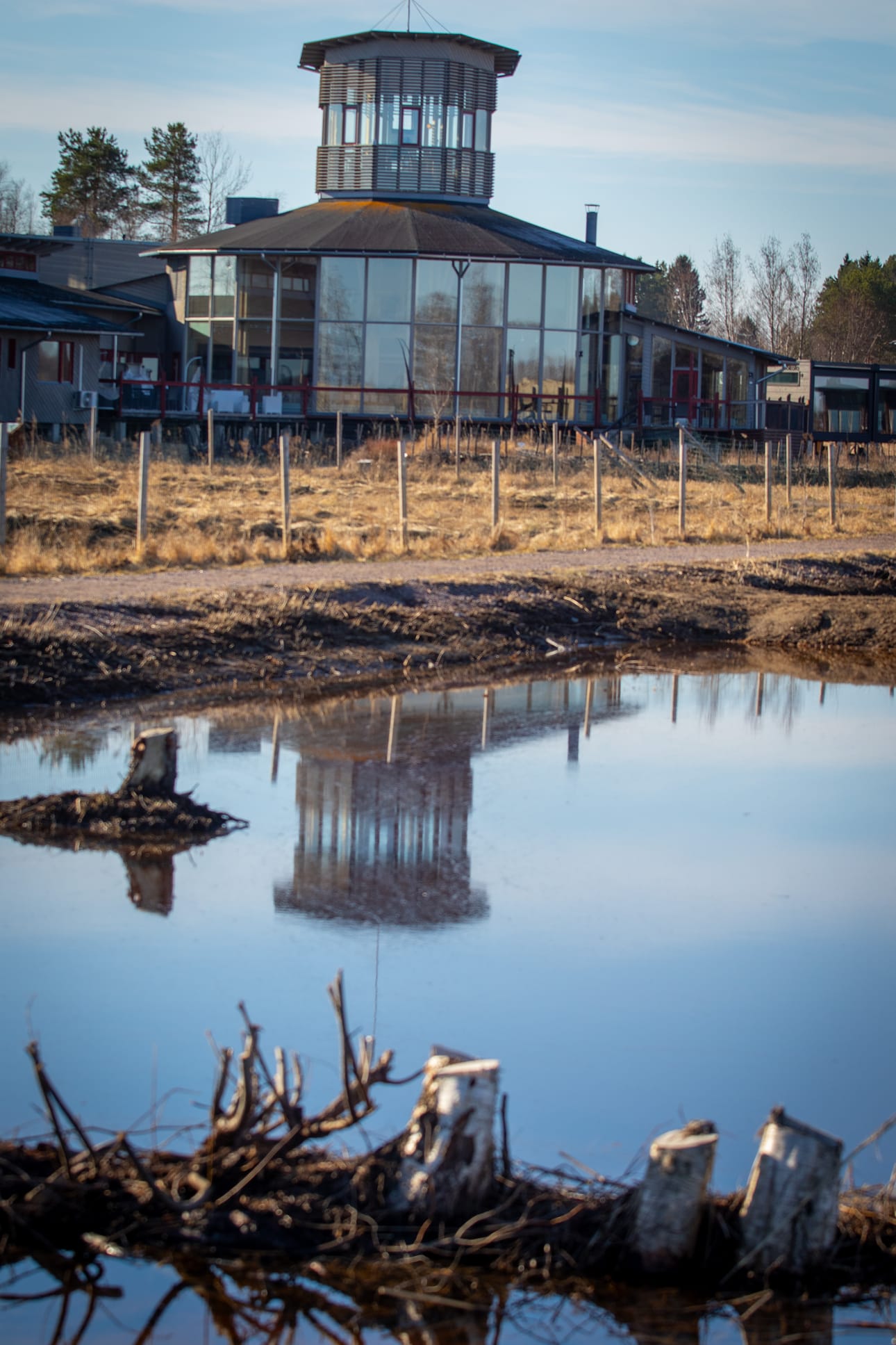Uusien kosteikkojen rannat ovat vielä paljaat – mutta eivät kauan.
