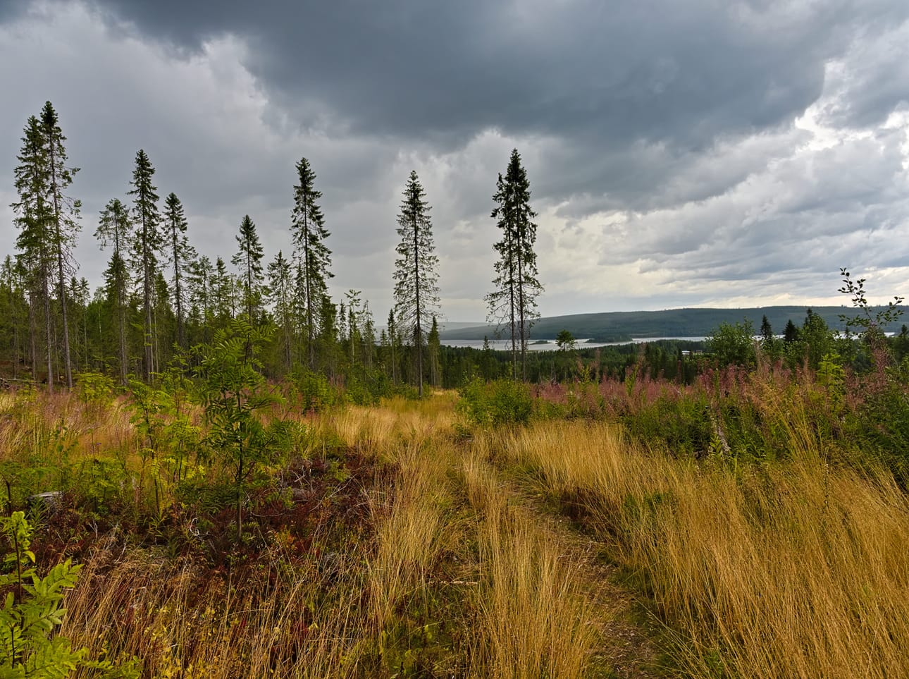 Kupson kutsu, Pudasjärvi.