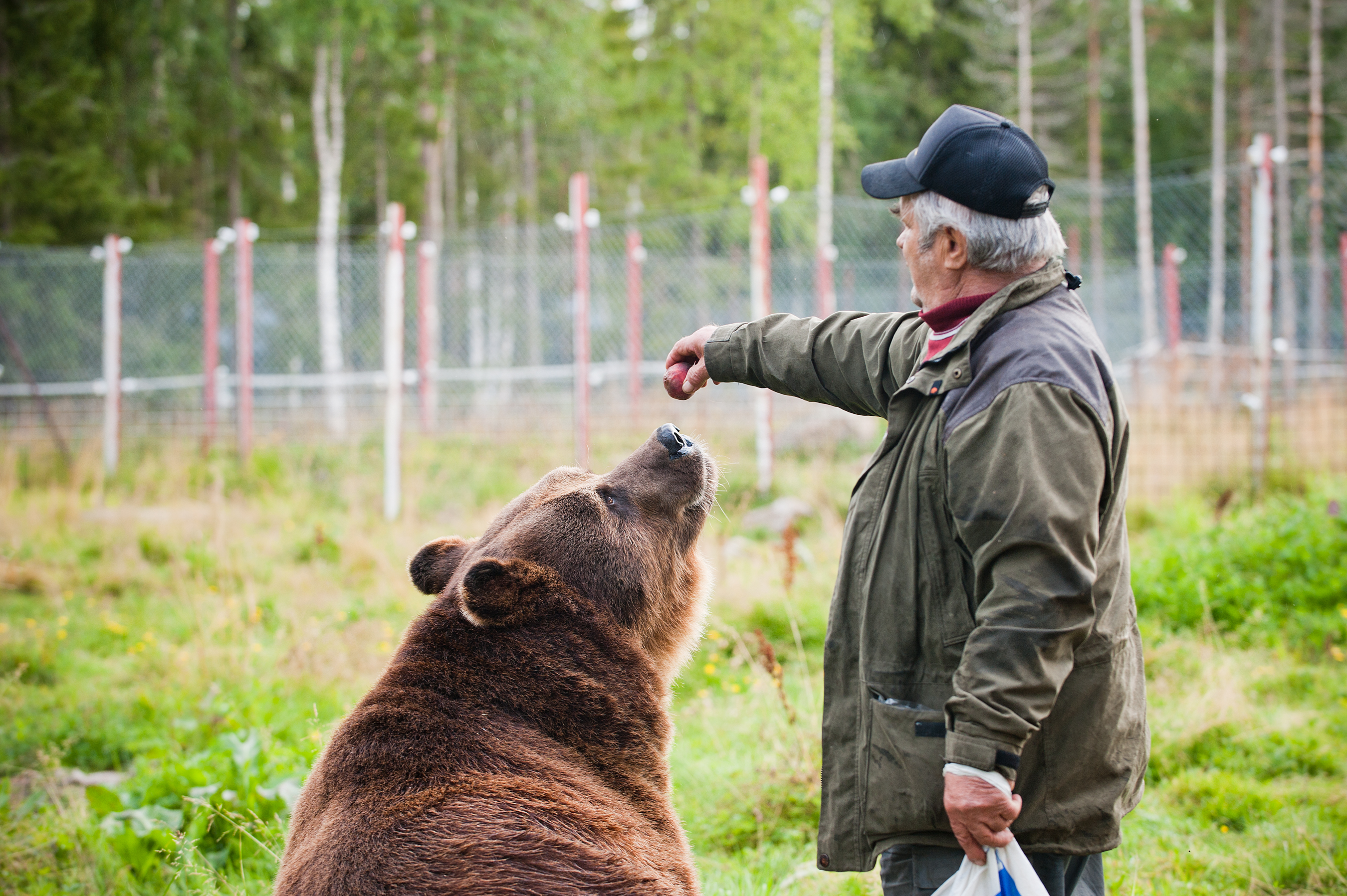 Syyttäjä syyttää Sulo Karjalaista ja toista henkilöä törkeästä kirjanpitorikoksesta. Molemmat kiistävät syytteet.