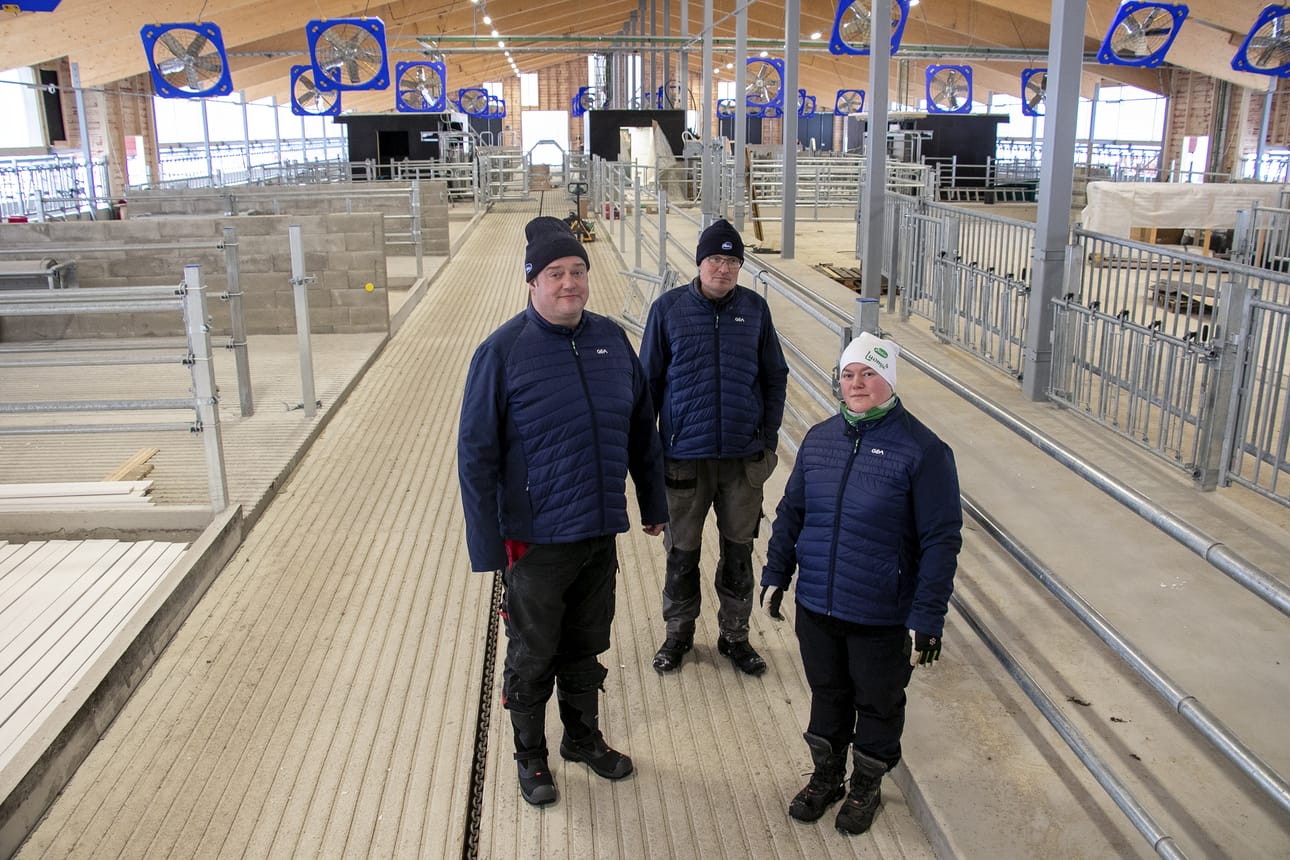 Jussi Murto-Koivisto, David Nyman ja Linda Pellfolk odottavat mielenkiinnolla uuden navetan ottamista käyttöön. Investointi on suuri, ja maidontuotanto on saatava heti aivan eri tasolle kuin entisissä tiloissa.