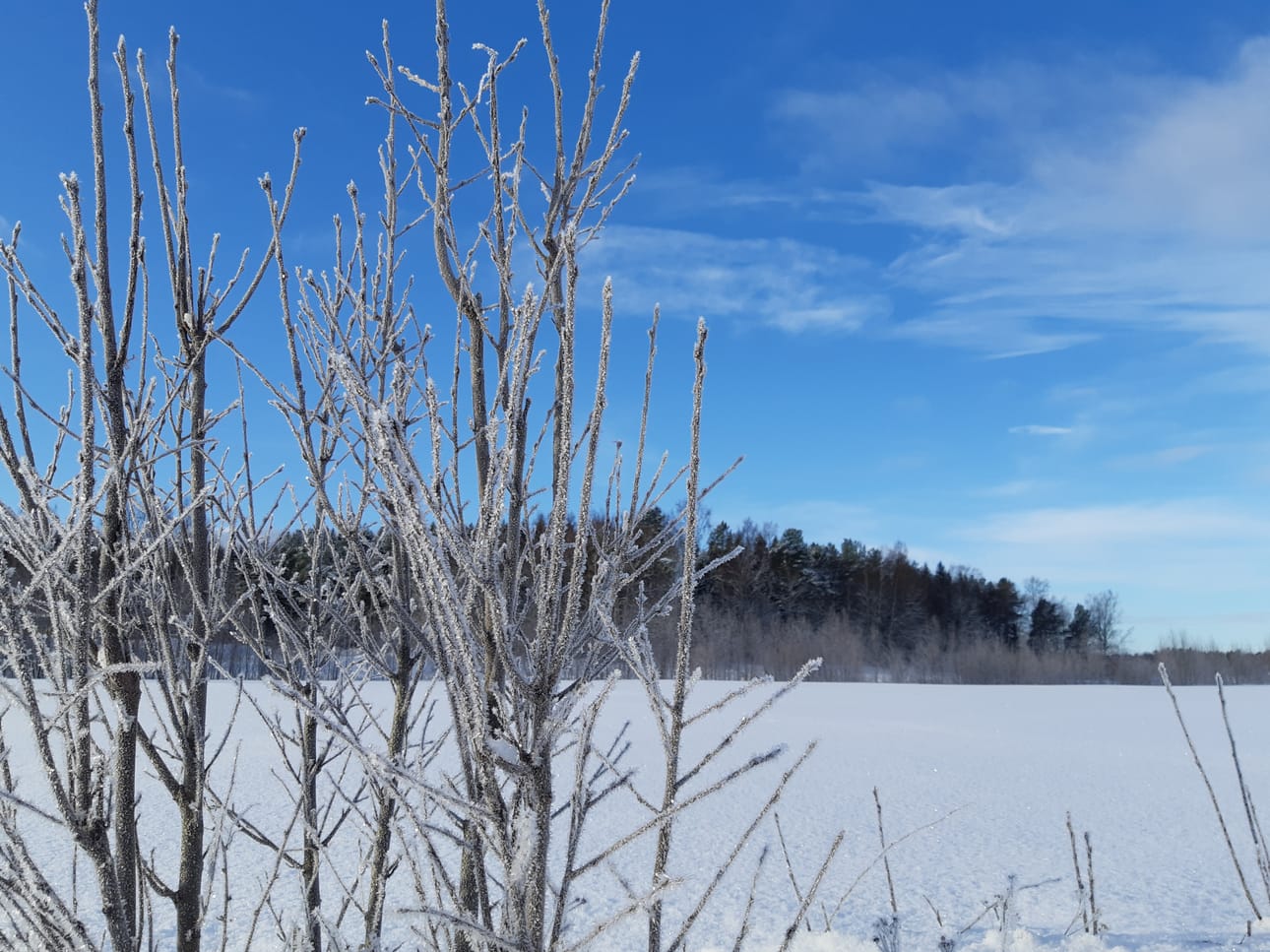 Nyt kannattaa pukea kunnolla vaatetta päälle ja lähteä ulos kuvaamaan huurteisia maisemia.