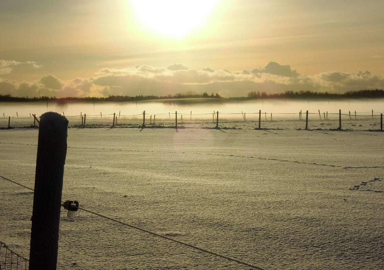 Ilmatieteen laitoksen päivystävä meteorologi Petri Hoppula pitää epätodennäköisenä, että eilinen pakkasennätys menisi tänään rikki. LEHTIKUVA / Ritva Siltalahti