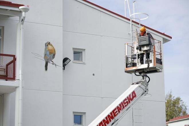 Silja Selosen ensimmäinen lintu valmistui tiistaina Puskantielle Marttilaan. KUVA: TIMO AALTO