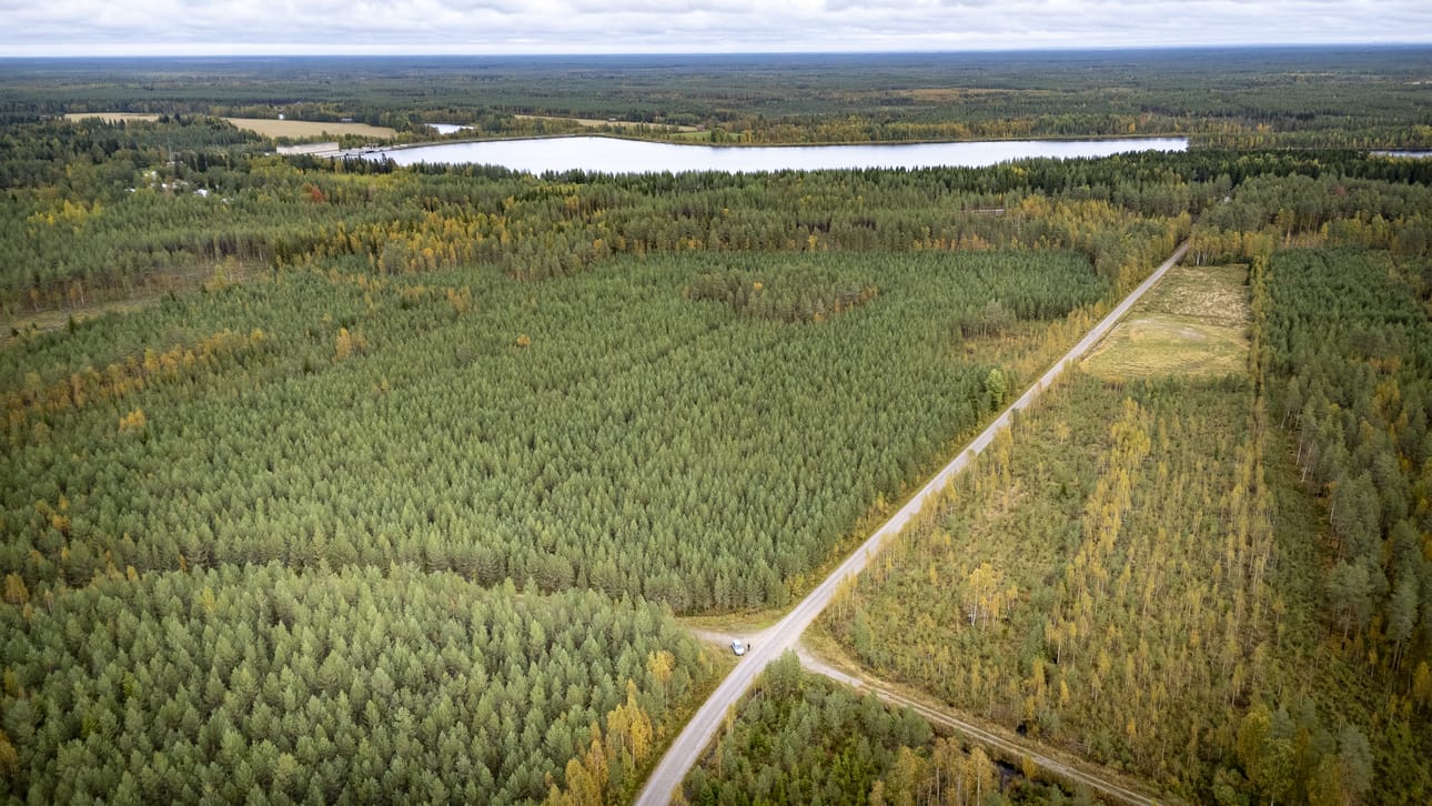 UB:n metsärahasto sai ison myyntivoiton Nuojuan sähköaseman lähellä tehdystä maakaupasta. Rahastolla on läheiselle Jylhämän alueelle vireillä toinenkin datakeskus.