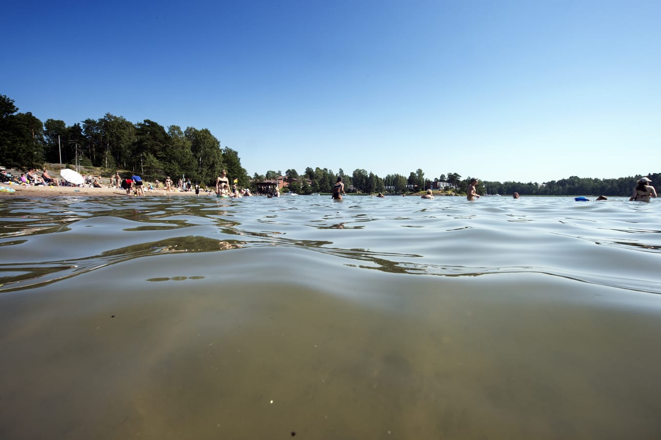 Sinilevät on syytä ottaa vakavasti, mutta uimavesissä elää muitakin otuksia bakteereista loismatoihin.