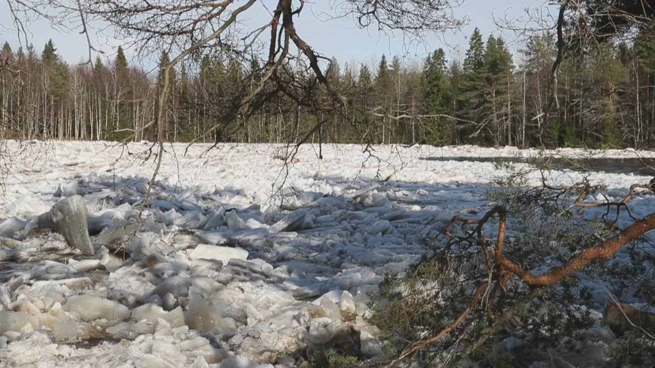 Massiivinen jääpato liikkui Kiiminkijoessa lauantaina