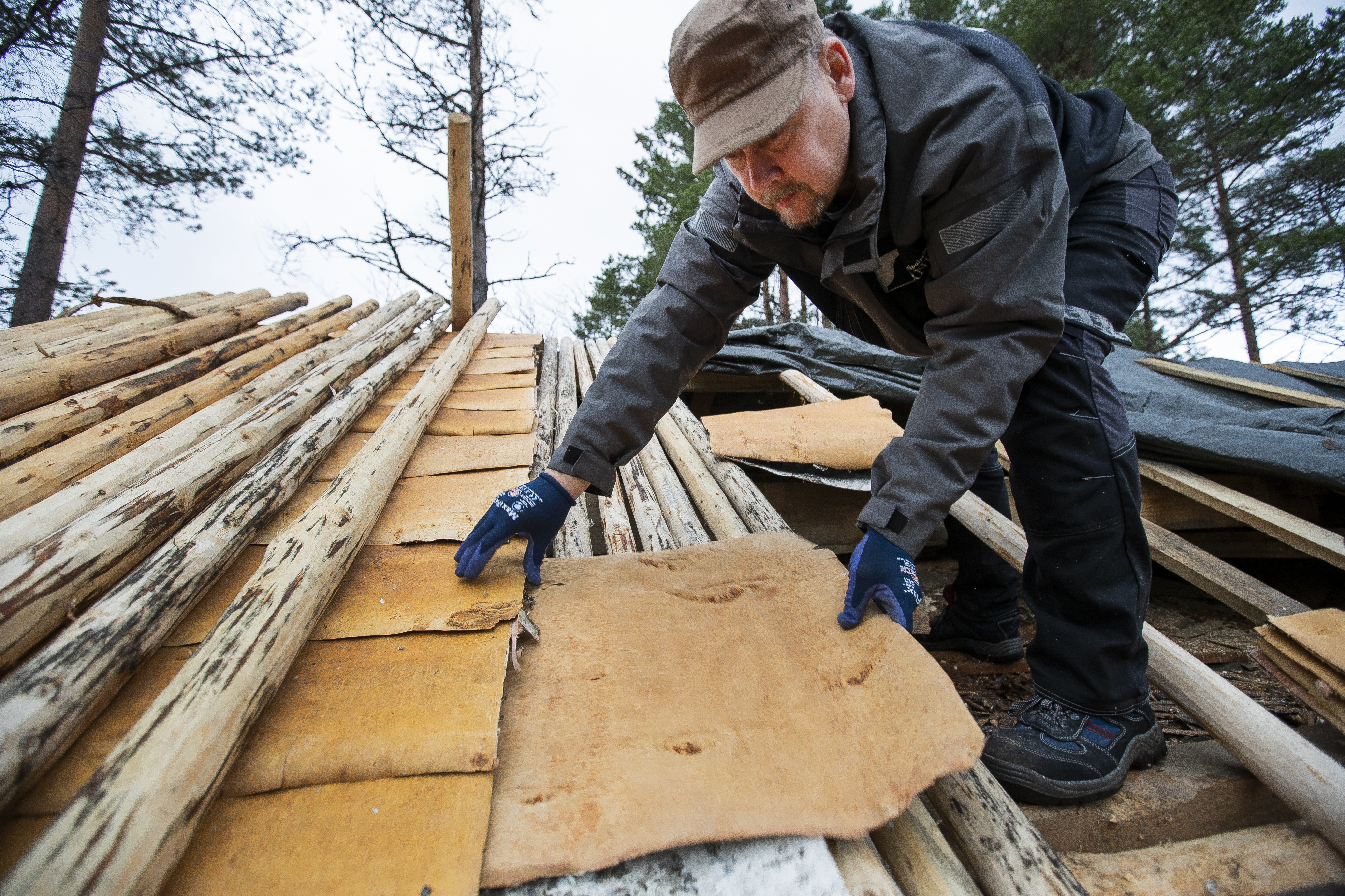 Kotiseutumuseon pihapiiriin valmistuu harvinaisuus Pyhäjoella: Aikaa kestävä perinnekatto vaatii 816 tuohiarkkia ja noin 400 malkaa