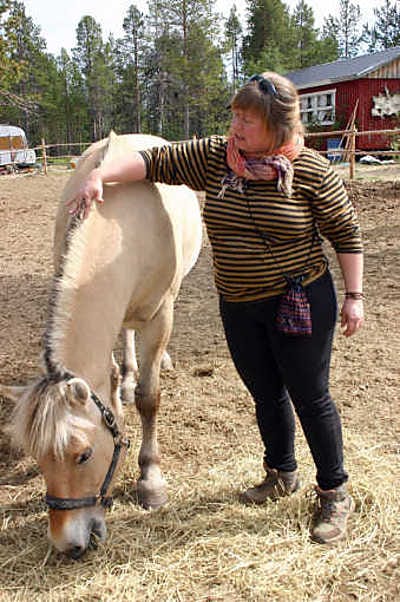 "Harja leikataan pystyksi irokeesiksi niin, että se korostaa kaulan jykevyyttä", Satu Natunen näyttää Norgea, joka on tilan hevosista ainoa suoraan Keski-Norjasta tuotettu.