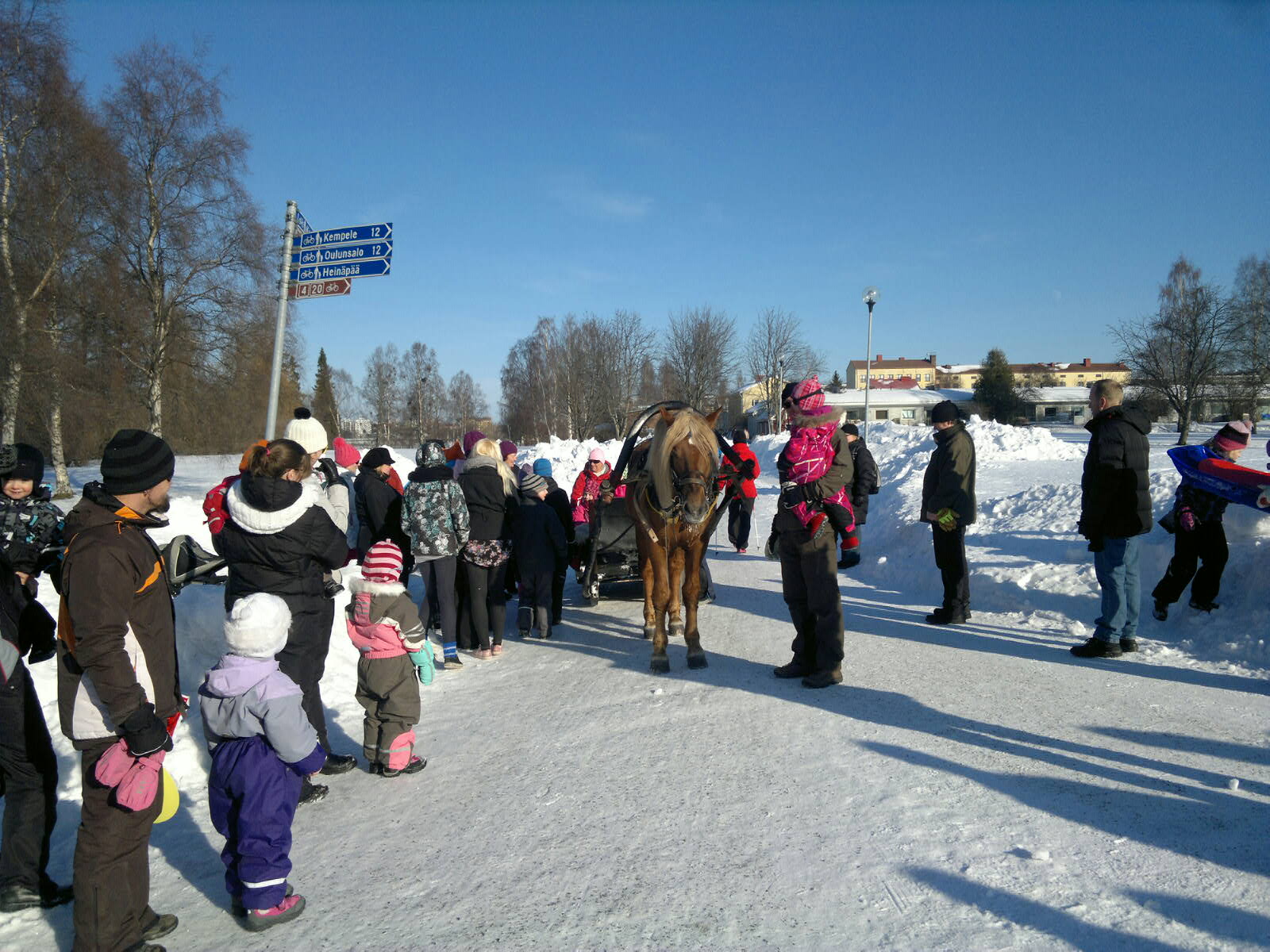 Hollihaassa vietetään talviriehaa. Hevosajelulle halukkaita on jonoksi asti.