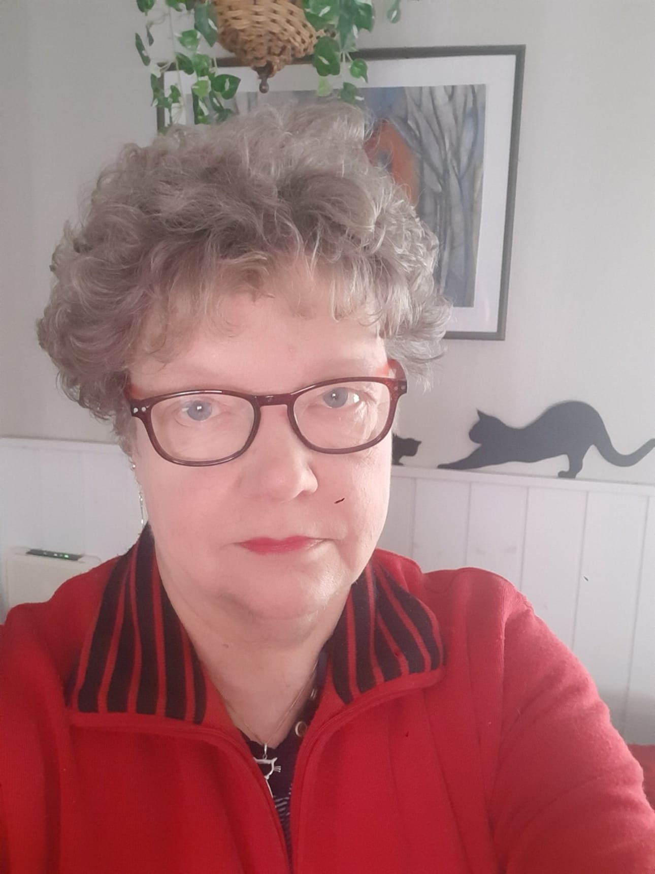Kirsti Koivula pitää kissoista kertovia juttuja eläinsuojelutyönä.