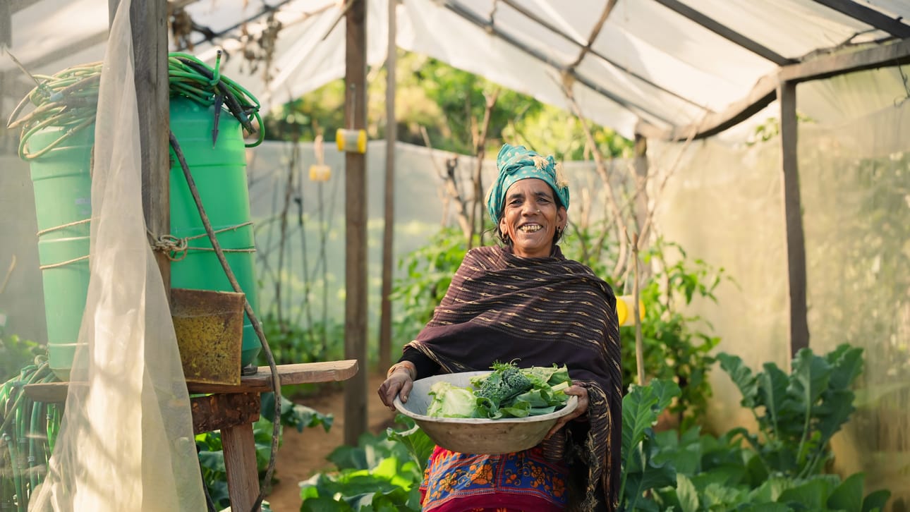 Lähetysseuran kehitysyhteistyöllä on edistetty ilmastokestäviä viljelytapoja. Nepalilainen Thumri Kami työskentelee kasvihuoneessaan.