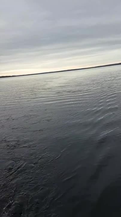 Vaappuun iski kohtuullisen kookas hauki
