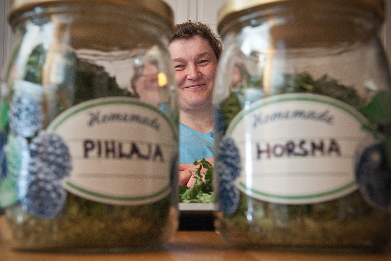 Kuivattua pihlajaa ja horsmaa Satu Murtovaara käyttää muun muassa tehojuoman valmistamiseen.