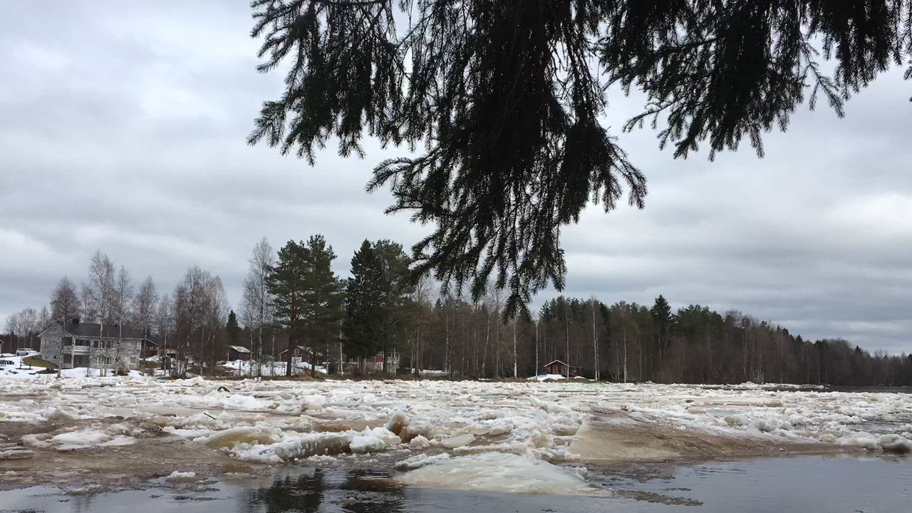 Lukijavideo: Jäiden lähtö Kiimingissä