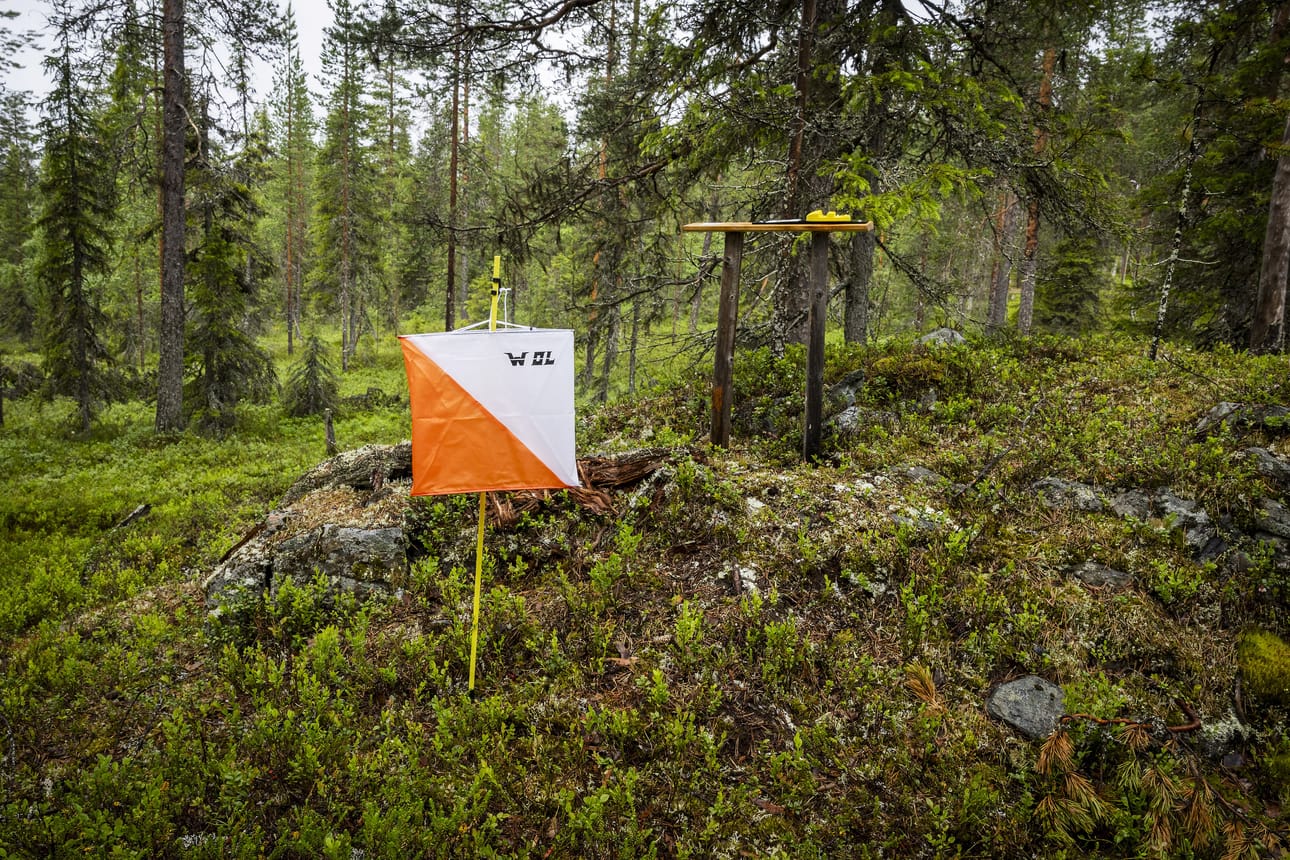FIN5-suunnistusviikko järjestettiin Sallassa.