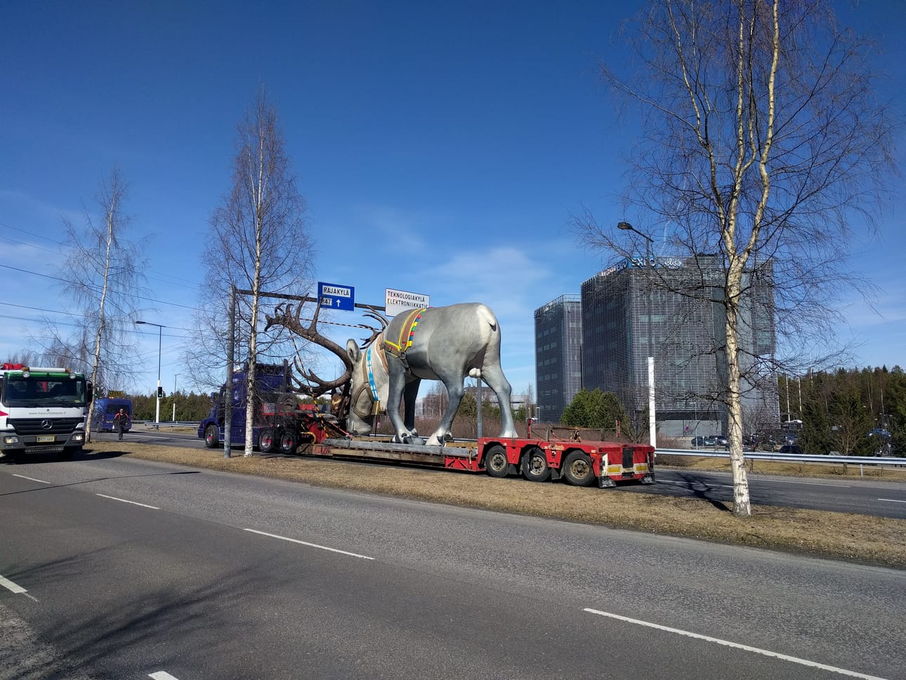 Jättiporon sarvet eivät mahtuneetkaan liikenneopastetaulujen alitse Elektroniikkatien kohdalla. Vartin kuluttua kolonna pääsi kiertämään hankalan paikan ja matka sai jatkua.
