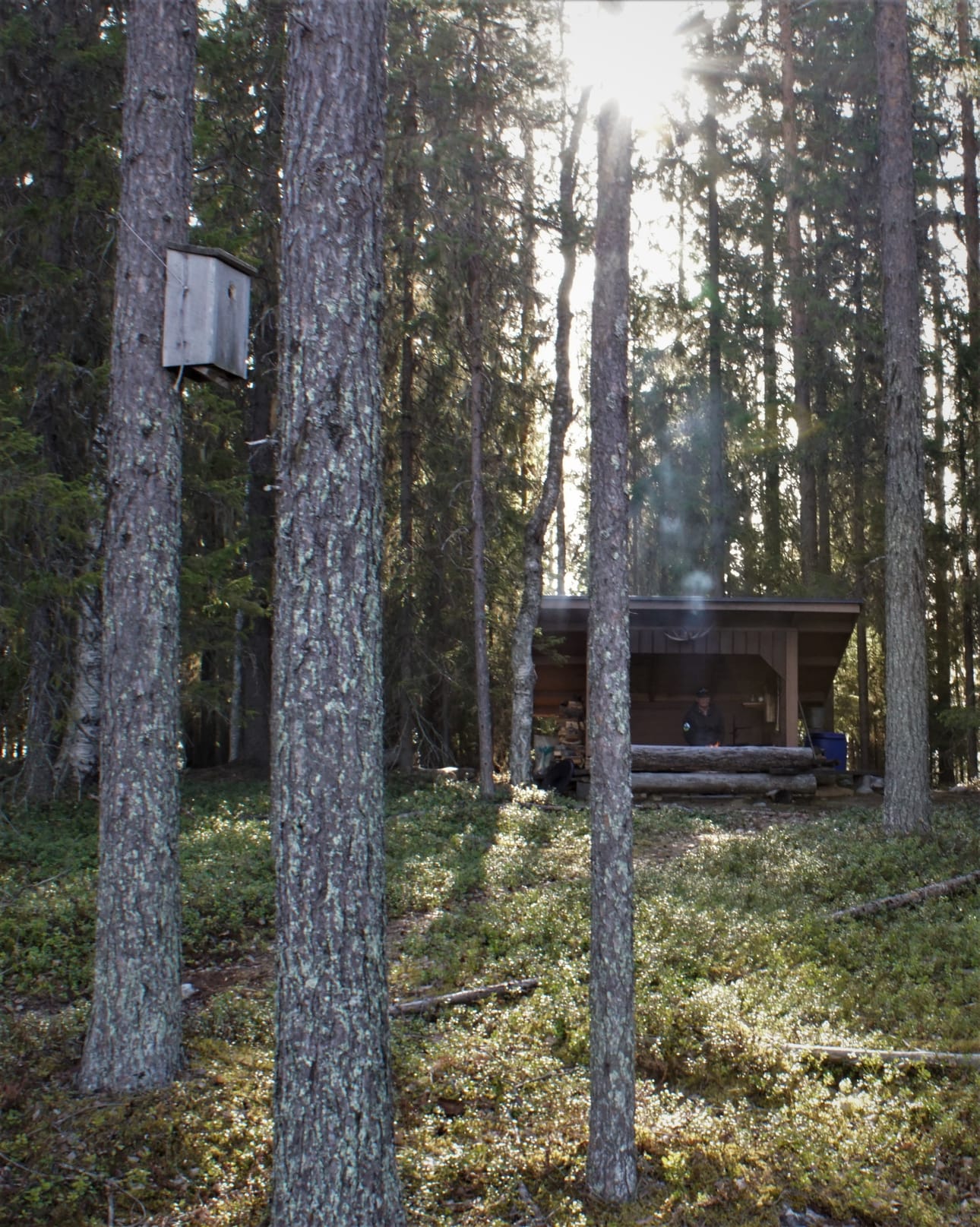 Pitkosten päässä on taukopaikka tarpeellisine rakennelmineen.