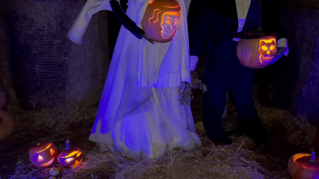 H👻LL🎃WEEN. Karmivaa tunnelmaa Salon Halikossa