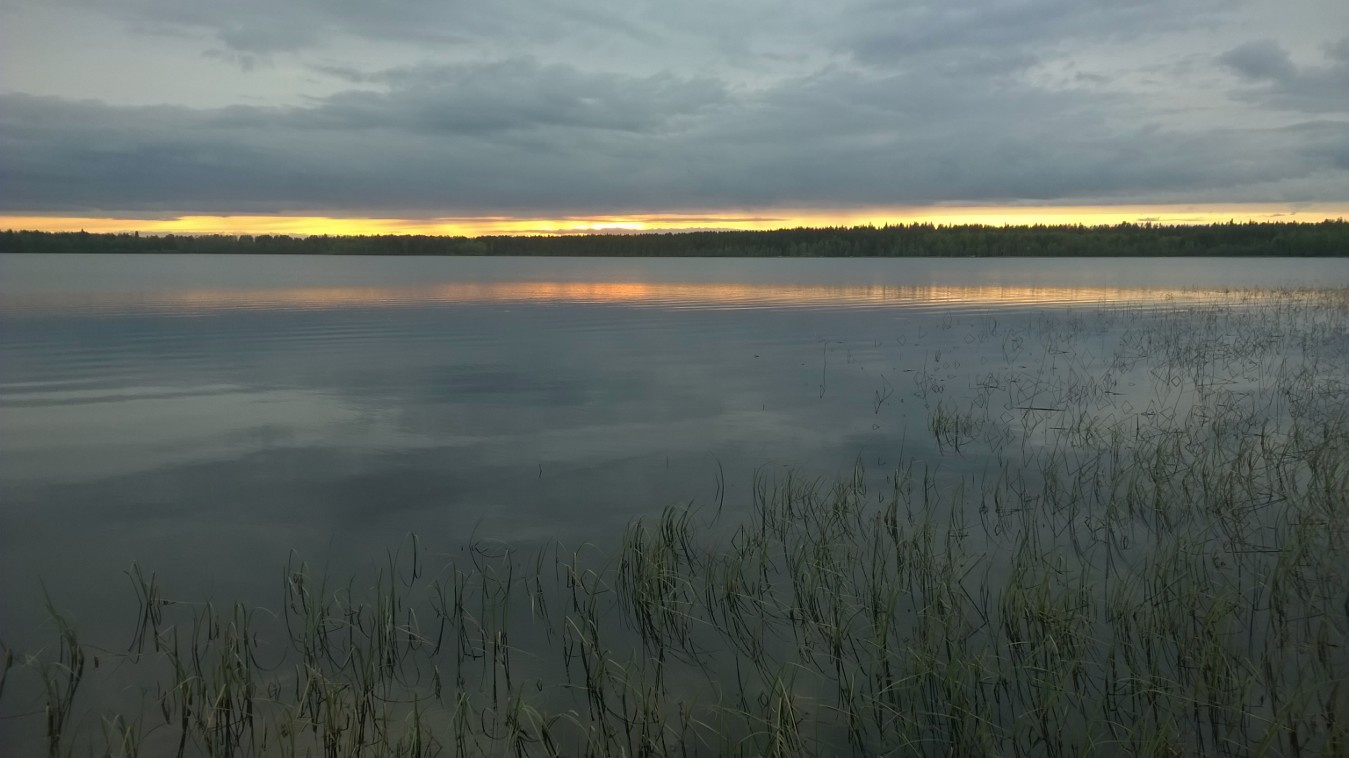 Järvimaisema.