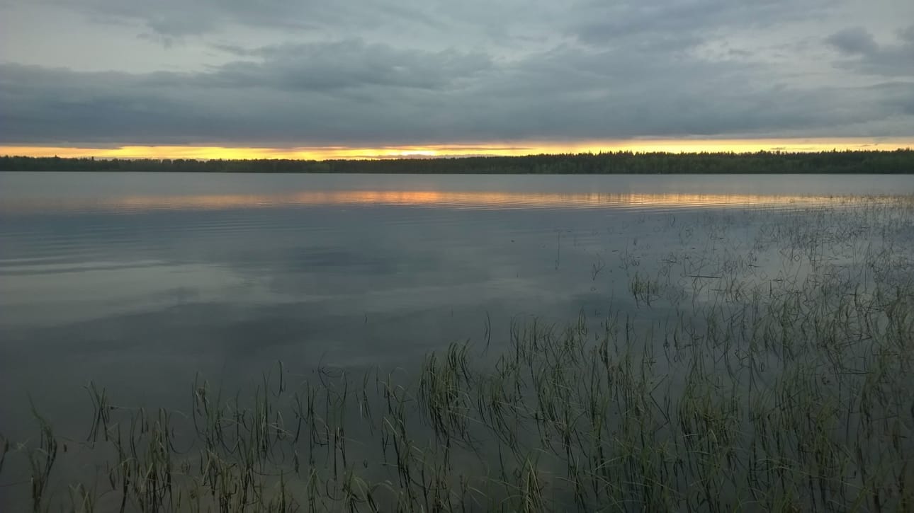 Järvimaisema.
