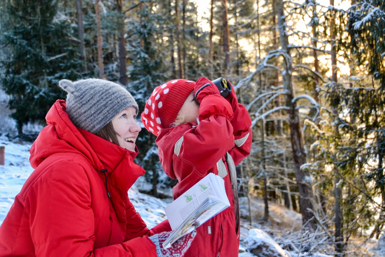 Pihabongaus sopii kaikenikäisille bongareille. Määritystaito karttuu vähitellen.