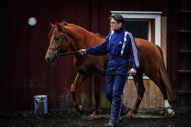 Video: Tältä näyttää 2-vuotias ravilupaus – Roperttolle haetaan 800 omistajaa