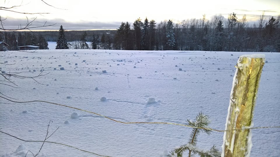 Tällaiselta näytti myrskyn jälkeen Taivalkosken Inkeellä.