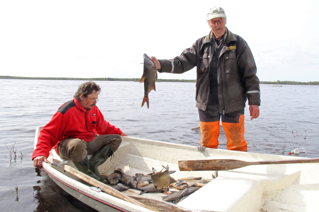 Lahnaa! Aittojärvellä sitä riittää, tietävät Ari Isola ja Eino Taavitsainen.