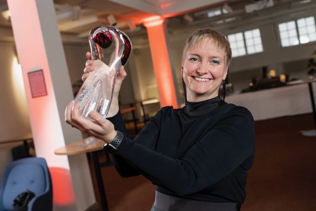Anna Juuselan yrityksen kehittämä palvelu palkittiin vuoden digipalveluna joulukuun alussa.