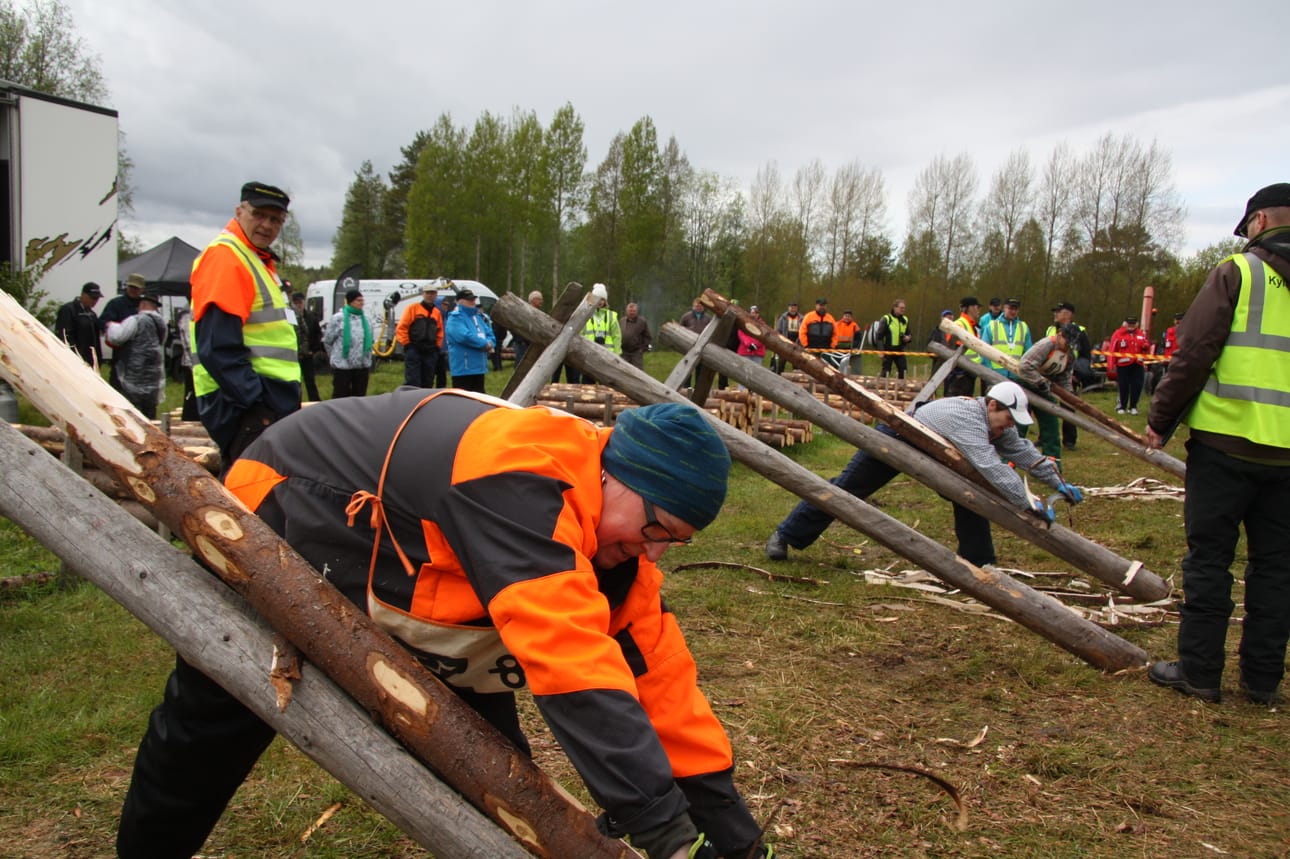 Muikku esittää uudeksi lajiksi pöllinparkkuun ja parkkilaskemisen yhdistämistä. Arkistokuva pöllinparkkuun MM-kisoista Taivalkoskelta muutaman vuoden takaa.