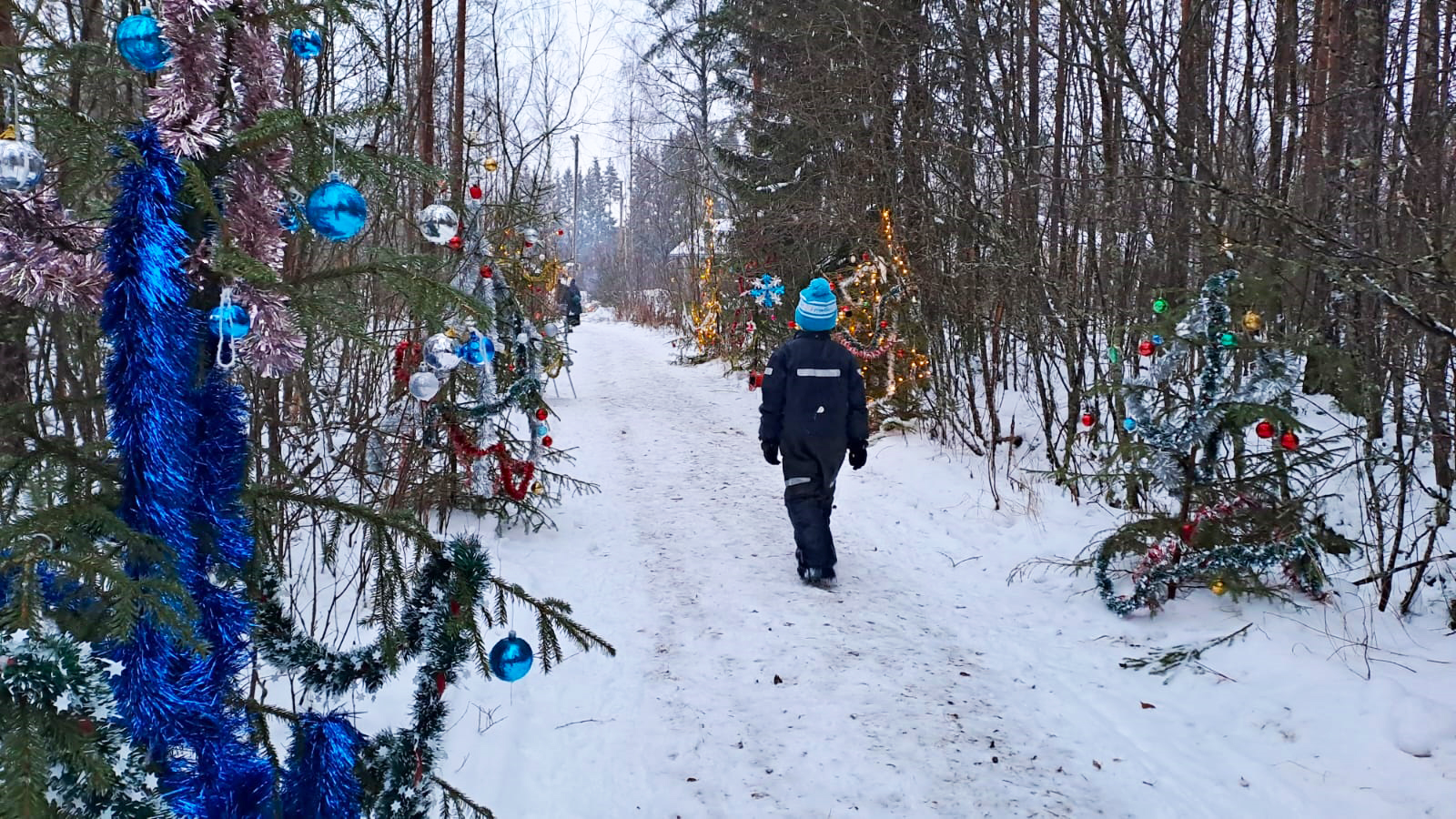 Tonttupolun lopusta löytyvät joulukuuset olivat valloittava näky.
