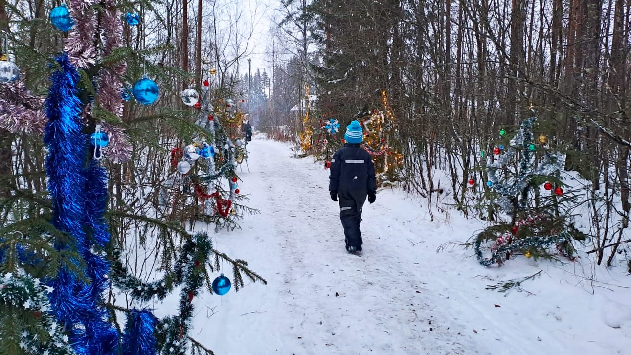 Tonttupolun lopusta löytyvät joulukuuset olivat valloittava näky.