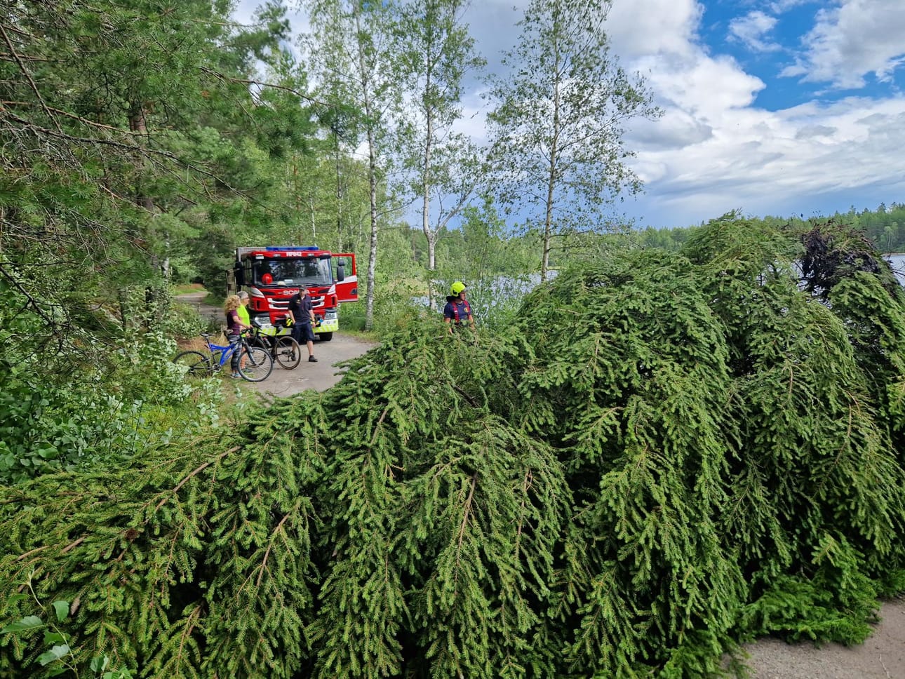 Myrsky kaatoi puun tielle Kristiinankaupungissa.
