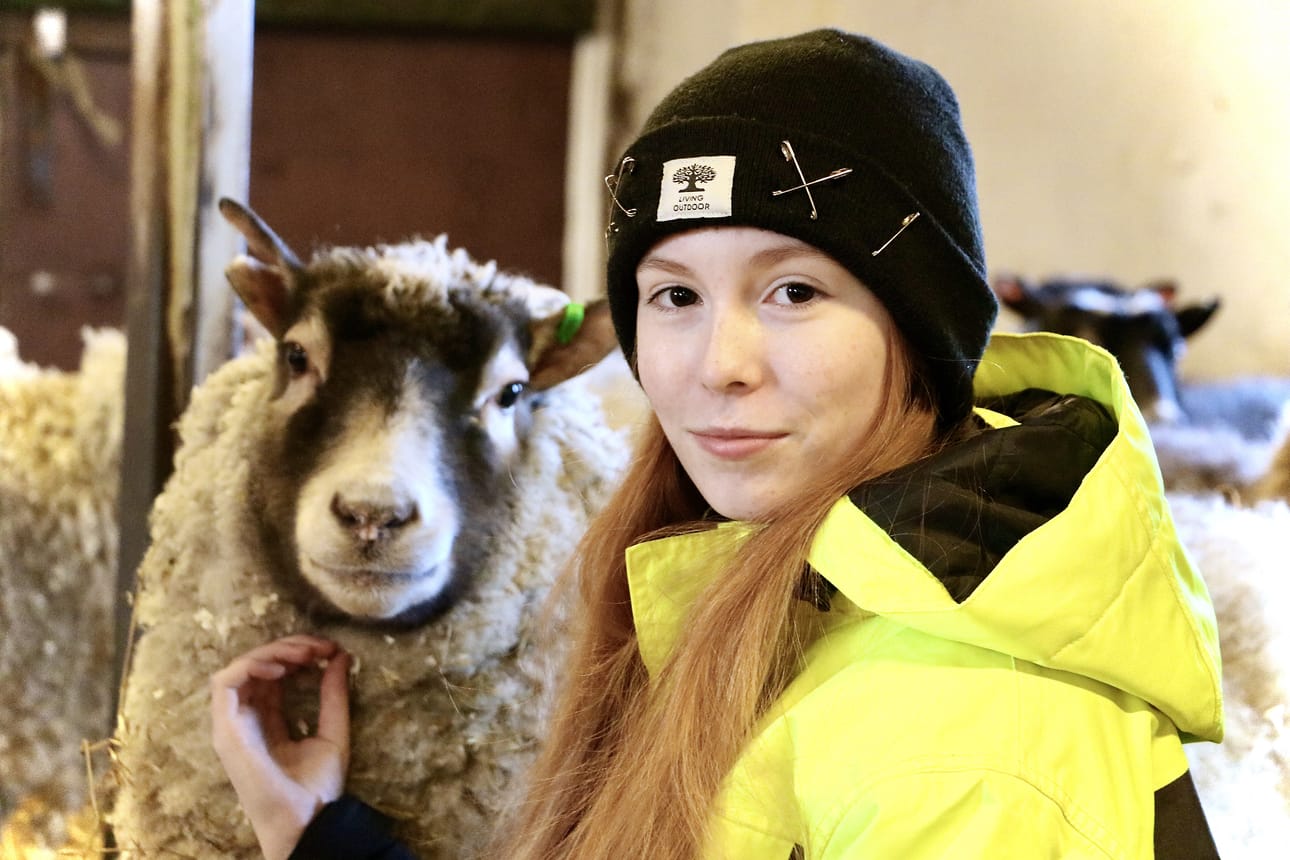 Lampaat ovat eläintenhoitajaksi Muhoksella opiskelevan Oona Pesosen mielestä erityisen kivoja.